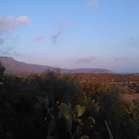 Seprenyi_Reni_del_rey_14